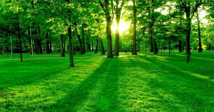 27++ Nature Wallpaper Hd Download For Pc - Basty Wallpaper