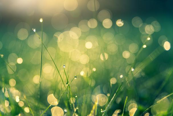 HD Wallpapers Free Download