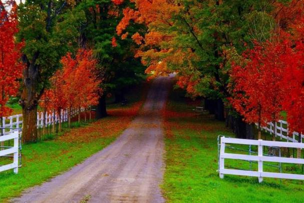 Hd Wallpapers For Laptop 1920x1080 Free Download Nature