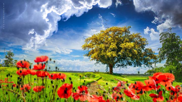 Blue sky_wallpaper 1920x1080 by IgnisFatuusII on DeviantArt