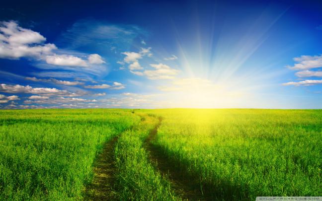 Blue Sky wallpaper | 1920x1080 | #79434