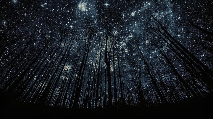 Starry Sky wallpaper | 1920x1080 | #5416