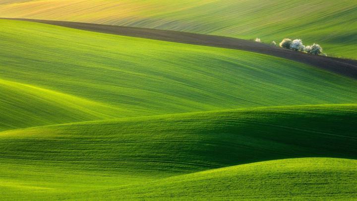 Amazing Laptop Wallpapers on WallpaperDog
