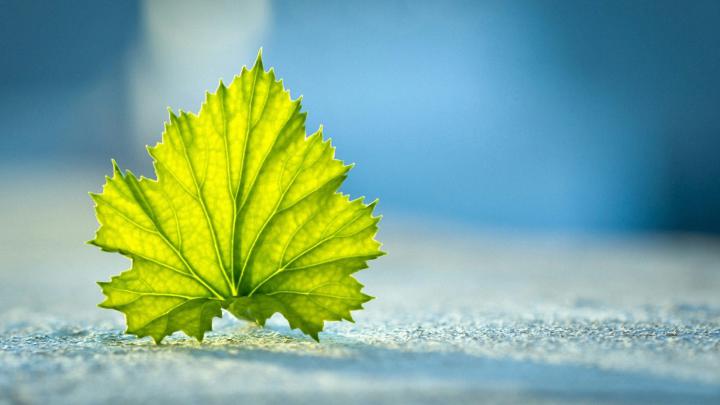 Laptop Wallpapers (72+ images)