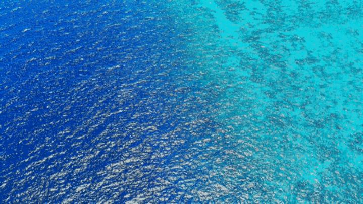 21+ 4k Gif Wallpaper Nature - Basty Wallpaper