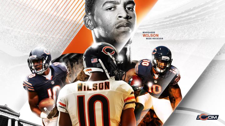 Free download Chicago Bears 2009 wallpaper [1280x1024] for your Desktop 