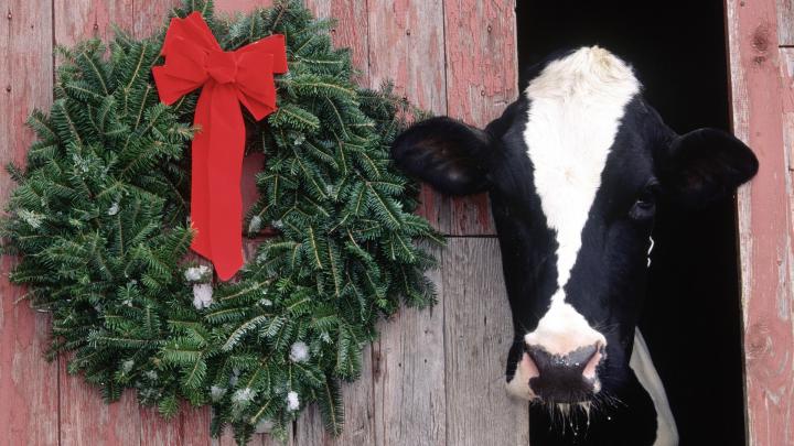 christmas 1920x1080 wallpaper High Quality Wallpapers,High Definition 
