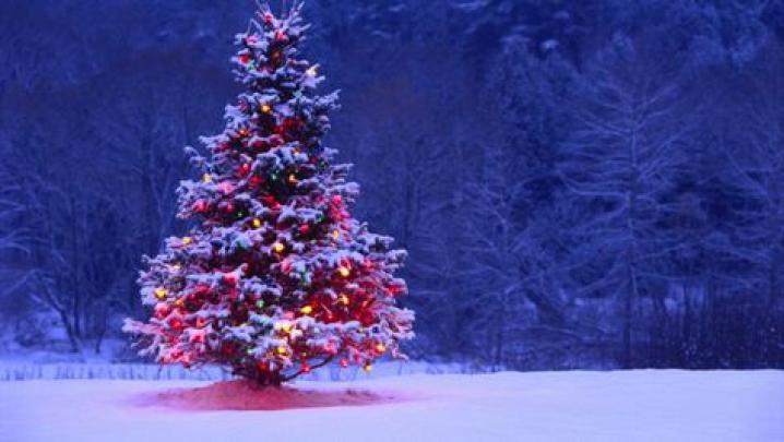 Christmas (1920x1080) Wallpaper - Desktop Wallpapers HD Free 
