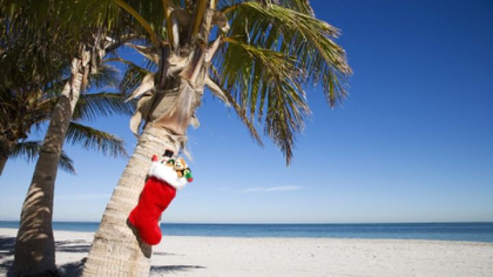 tropical christmas 1920x1080 wallpaper High Quality Wallpapers,High 