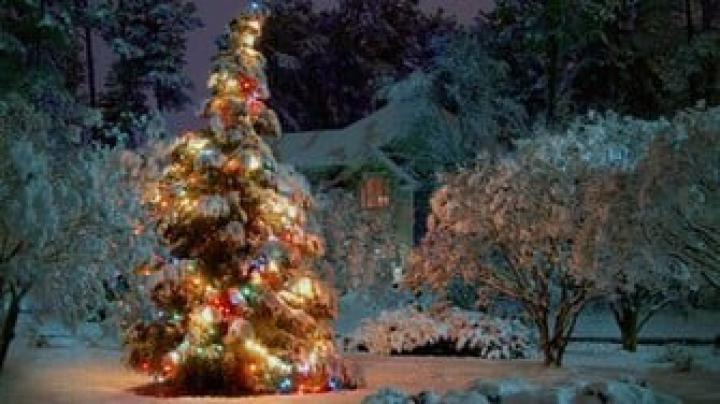 Free download Awesome 40 Christmas 1920X1080 Pixels Full HD Wallpapers 