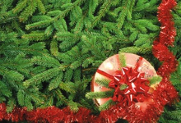 christmas 1920x1080 wallpaper High Quality Wallpapers,High Definition 