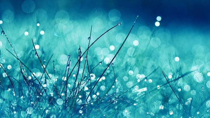 Bright Wallpaper -
