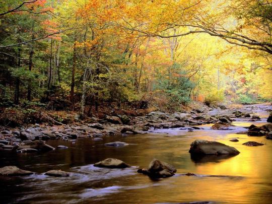 Great Nature Wallpapers - Top Free Great Nature Backgrounds 