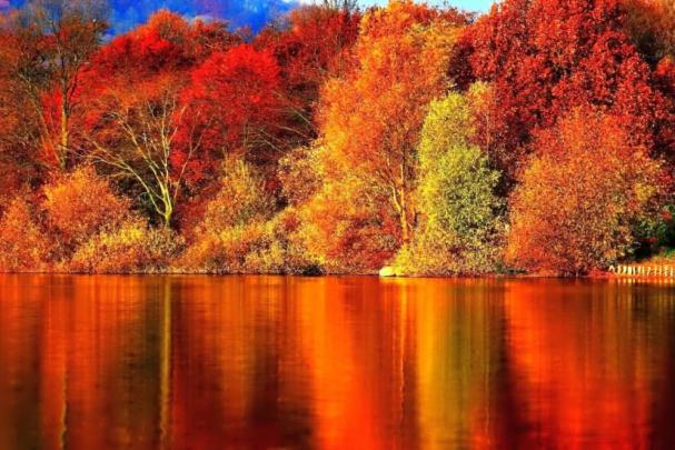 Fall wallpaper HD \u00b7\u2460 Download free wallpapers for desktop, mobile 
