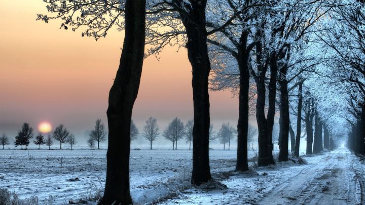 Holland Wallpapers