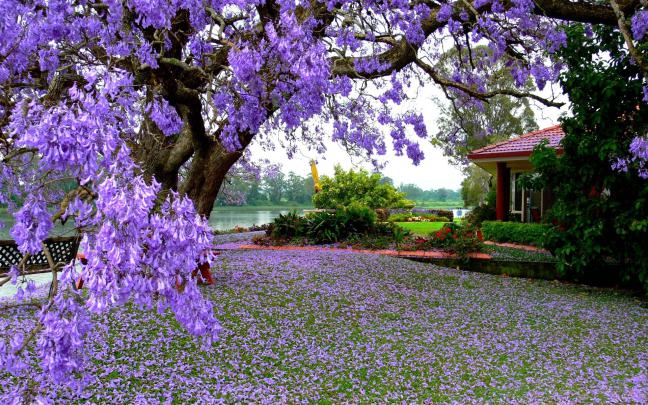 High Resolution Spring Wallpapers - Top Free High Resolution Spring 