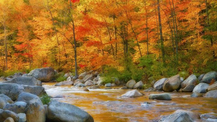Creek 1920X1080 HD Nature Wallpapers - Top Free Creek 1920X1080 HD 