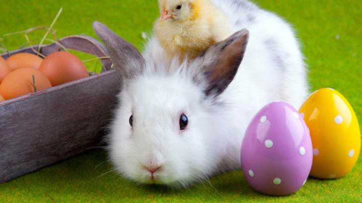 [43+] Easter Wallpaper 1920x1080 