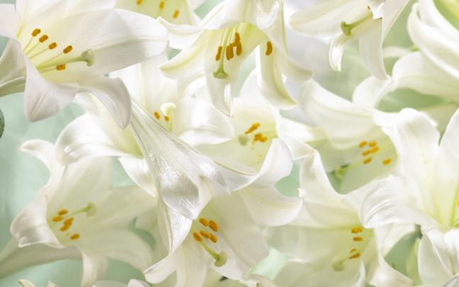 [43+] Easter Wallpaper 1920x1080 