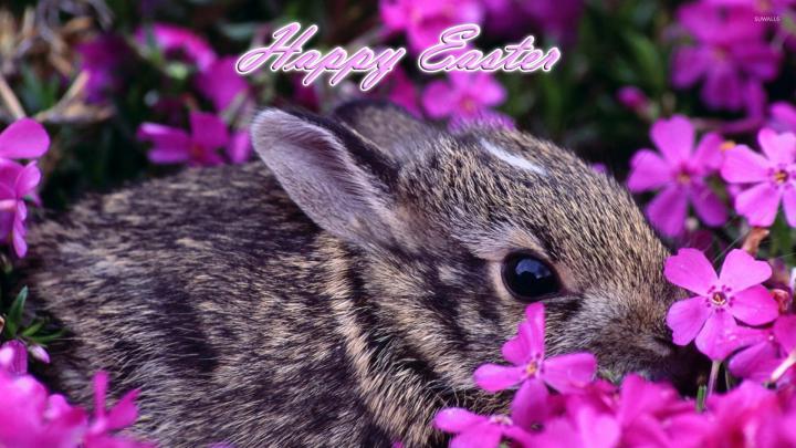 [43+] Easter Wallpaper 1920x1080 