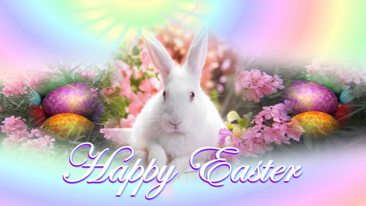 Happy Easter Bunny Wallpaper HD 1920x1080 | ImageBank.biz