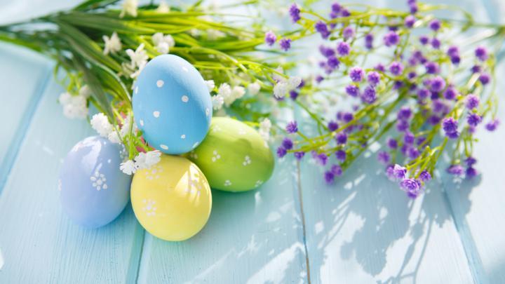 Download Wallpaper flower egg easter, 1920x1080, Flowers and Easter eggs