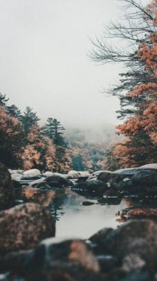 Collection : +35 Best iphone 11 wallpaper hd nature to download for 