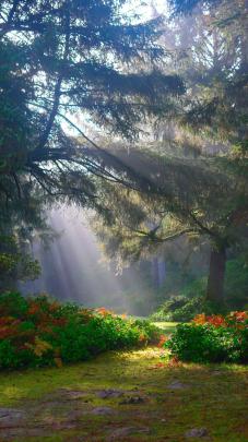 Collection : +35 Best iphone 11 wallpaper hd nature to download for 