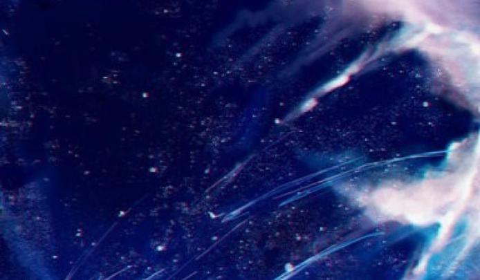 Pokemon Wallpaper 4k Android