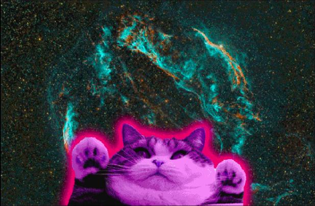 Cat Galaxy Wallpaper -