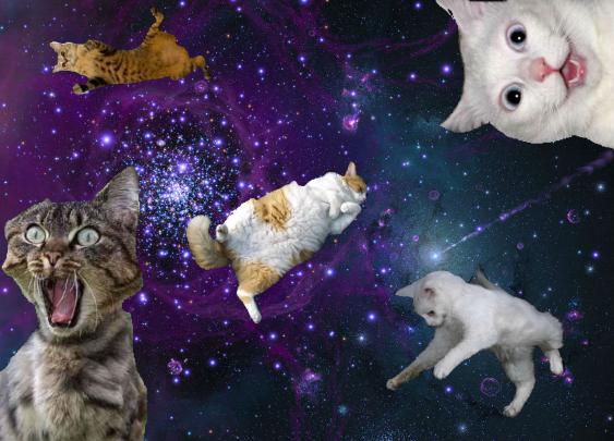 Cat Galaxy Wallpaper -