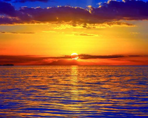 Free download Pics Photos Coconut Beach Sunrise Wallpapers Hd 