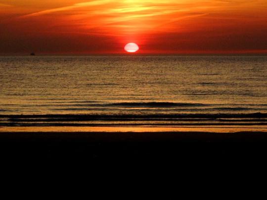 Free download Pics Photos Coconut Beach Sunrise Wallpapers Hd 