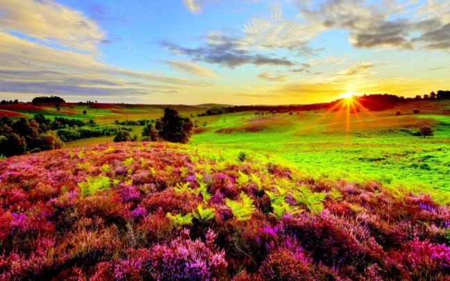 Search Results For Summer sunrise HD Desktop Wallpapers for Widescreen 
