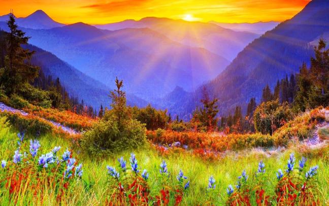 Free Sunrise Wallpaper -