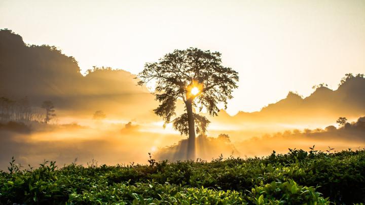 Nature Sunrise Wallpaper Hd - 1920x1080 - Download HD Wallpaper 