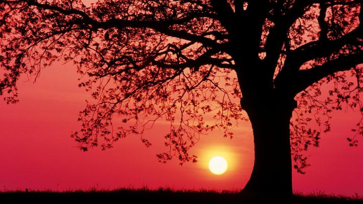 Superb Wallpapers 1920x1080 (43+ images)