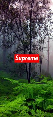 Supreme Wallpaper 4k - Gambar Ngetrend dan VIRAL