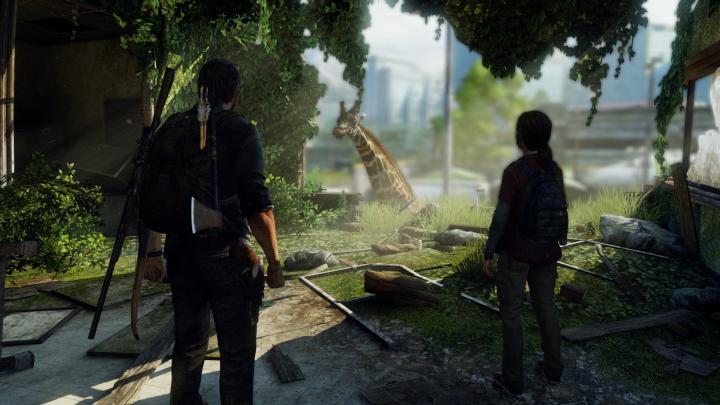 Angelanne: The Last Of Us Hd Wallpaper 1920x1080