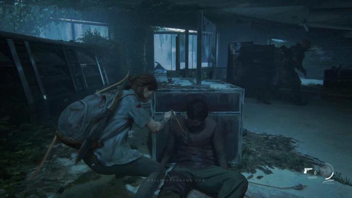 4K wallpaper: The Last Of Us 2 Wallpaper 1920x1080