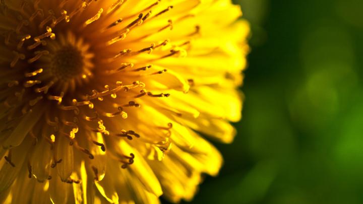 Background 4K Wallpaper Desktop : Free Desktop 4k Images |  