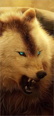 Angry Wolf Wallpaper 4k | Angry wolf, Wolf wallpaper, Wolf world