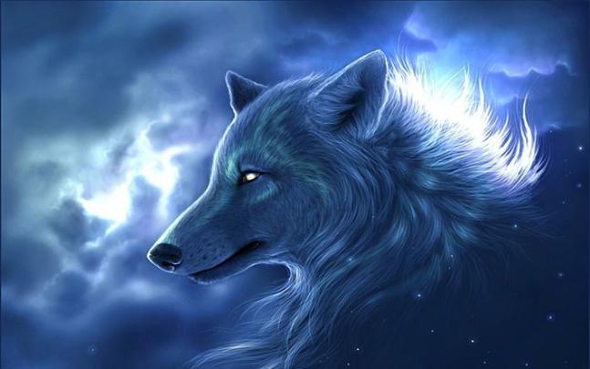White Wolf Wallpaper 4k - Wallpaper