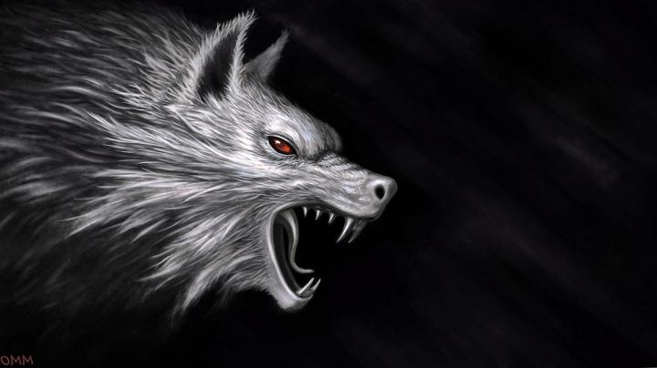 Black Wolf 4K Wallpapers - Top Free Black Wolf 4K Backgrounds 
