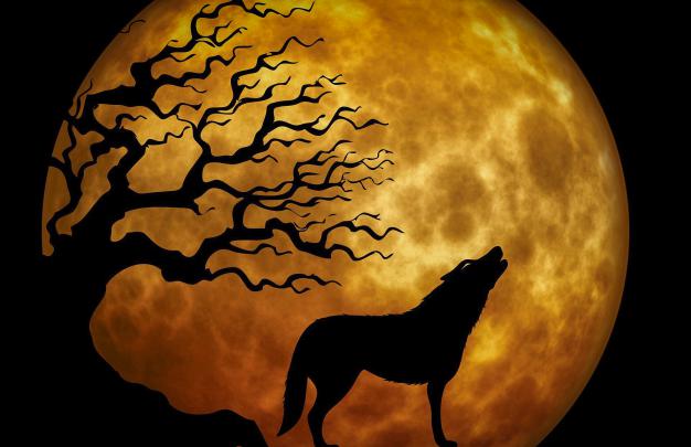 Fantasy Wolf Wallpaper 4K \/ Simply choose a wallpaper that you like 