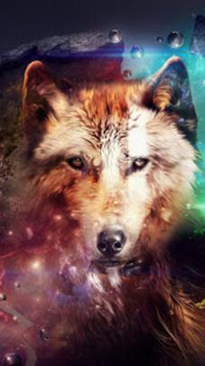 Wolf Wallpaper (4K Ultra HD) - Free download and software reviews 