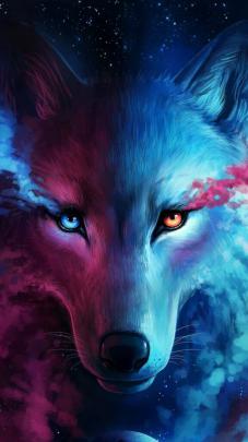 Wolf Wallpaper 4K