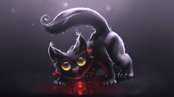 Animated Cat Desktop Wallpapers - Top Free Animated Cat Desktop 