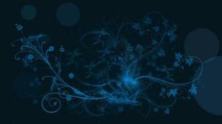 Free download Hp wallpaper 11133 High Quality and Resolution Wallpapers 