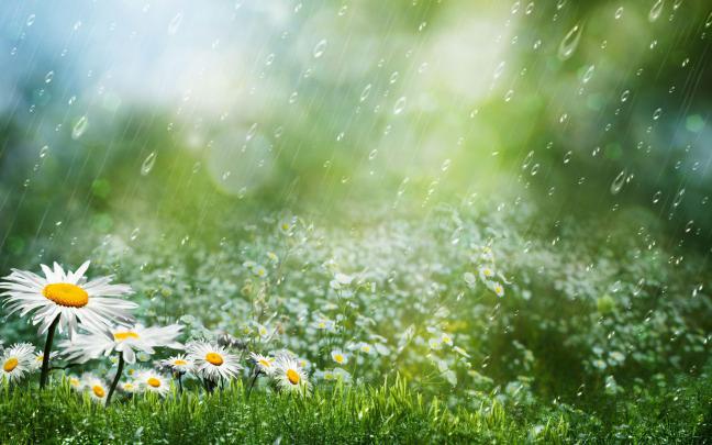 Rain wallpaper HD \u00b7\u2460 Download free awesome full HD wallpapers for 